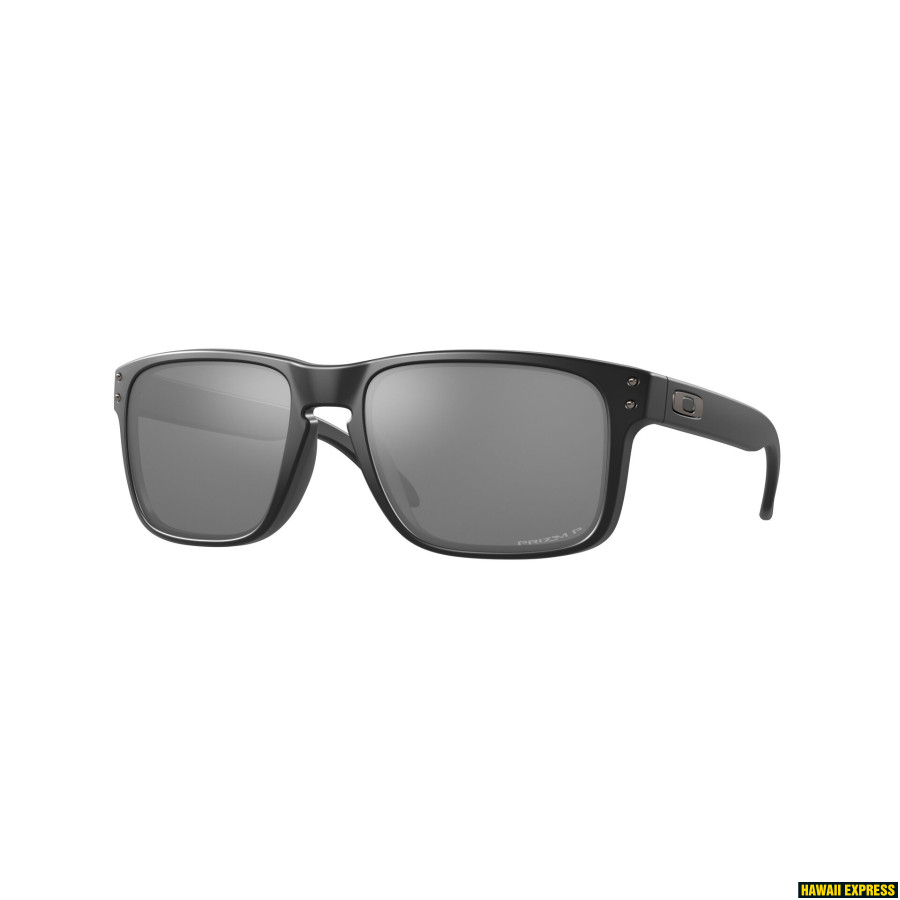 Holbrook polarized outlet prizm